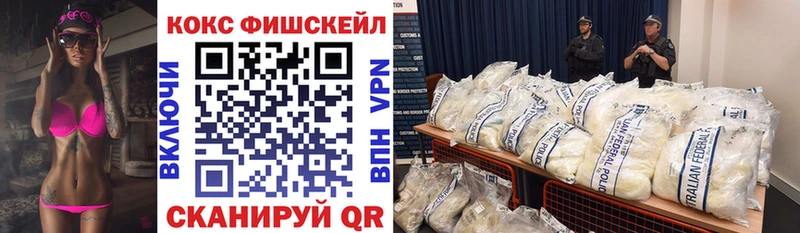 COCAIN Fish Scale  Купить  Нерчинск 