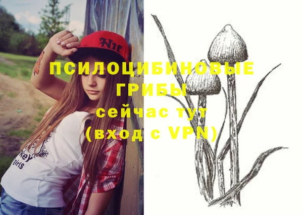 МДМА Дмитров